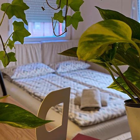 Apartmani Zrenjanin Exteriör bild